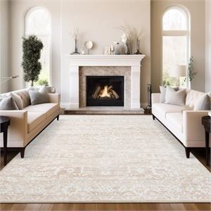 Soalmost 9x12 Area Rug for Living Room